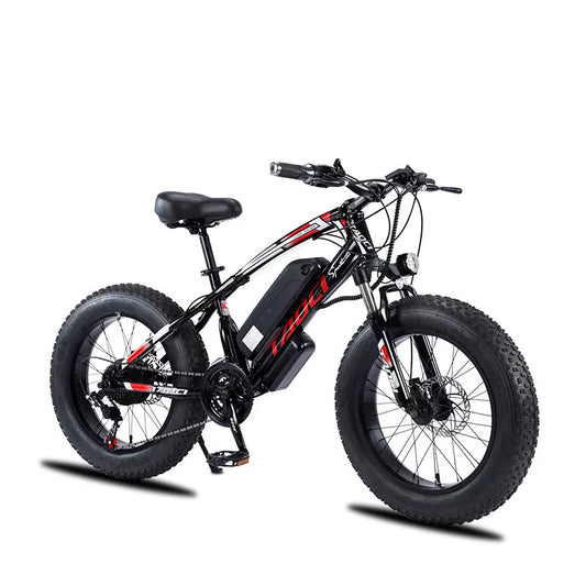 20 Inch Electric Bike Off Road 2 Wheel Electric Bicycle 4.0 Fat Tire 36V 350W 10AH/13AH High Carbon Steel Smart Electric Bicycle