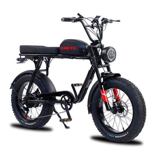 20 inch retro two-wheel variable speed snow power bicycle  48v1500w rear wheel direct drive fat tire off-road ebike
