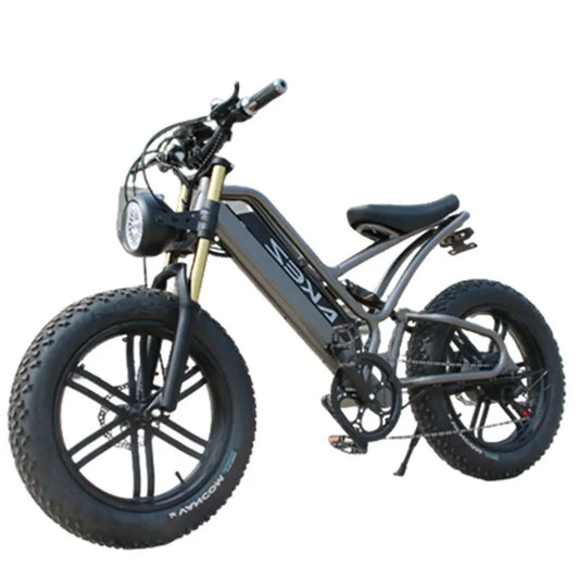 20 Inch Mountain electric bicycle For Mens Fat Tire Aluminium Alloy eBike 750W 48V Beach Snow eBikes For Adults Max Speed 45